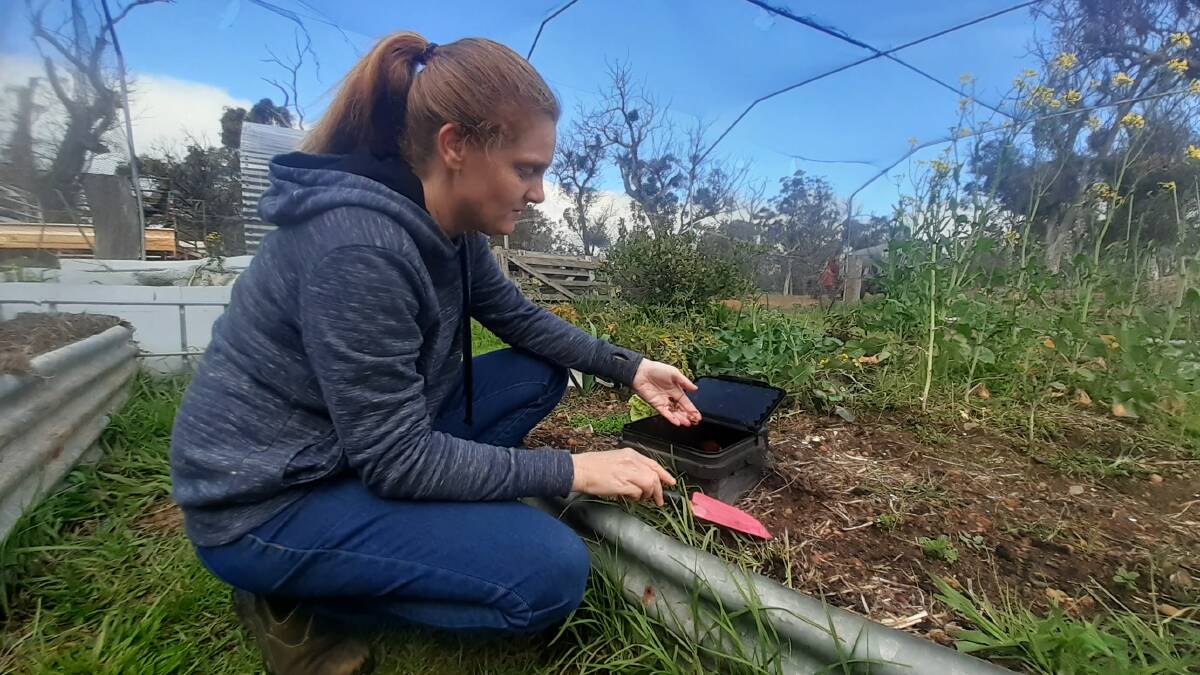 A vegetable patch is a great place to start when going low waste and then you can feel the maximum benefits of a home compost or worm farm. Ella Maesepp is in her vegetable garden with her worm farm that she made out of a recycled laundry powder container. Photo supplied.