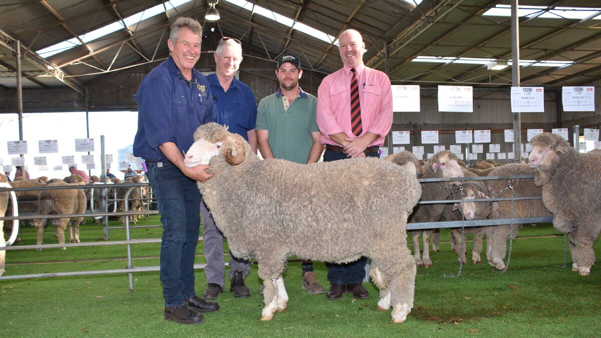 The third top price and highest Merino price in the sale was $6000 paid for this Barloo Merino ram by the Stewart family, Teddington Farms, Gnowangerup. With the ram were Barloo stud principal Richard House (left), buyers Greg and Damien Stewart and Elders district wool manager Travis King.