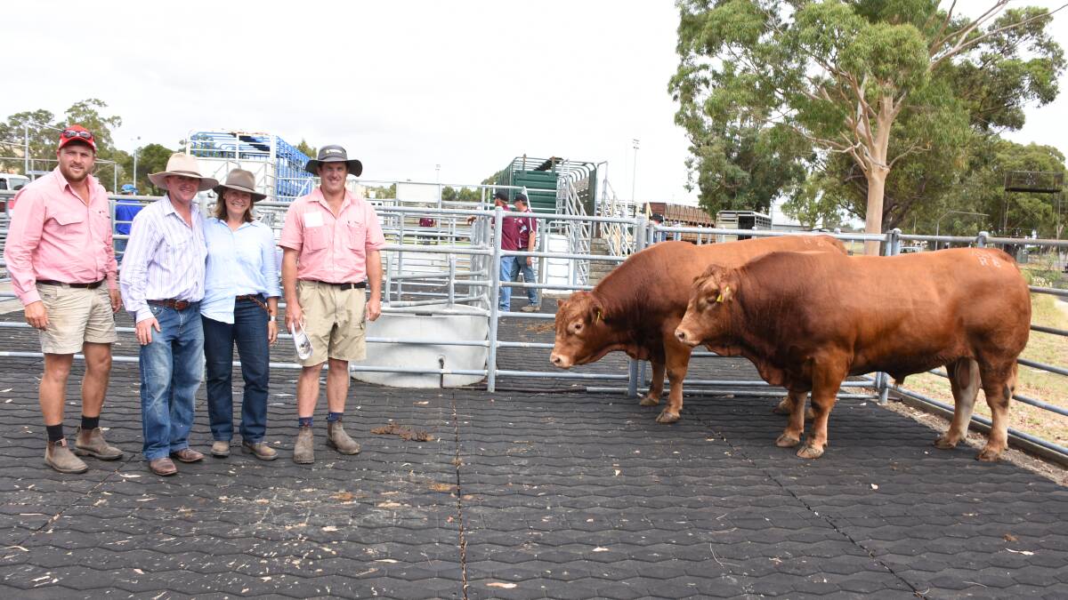 With the $9000 equal top-priced Limousin bulls both by Red Oak Next Generation N29 from the the Kelside West stud, Brunswick, which sold to KS & EN Roberts & Son, Elgin and EB & EJ Wilde, Cundinup, were Elders, Busselton representative Jacques Martinson (left), who purchased for the Wilde family, Kelside West stud principals Mike Donaghy and Kylie West and Elders, Harvey/Brunswick agent Craig Martin.
