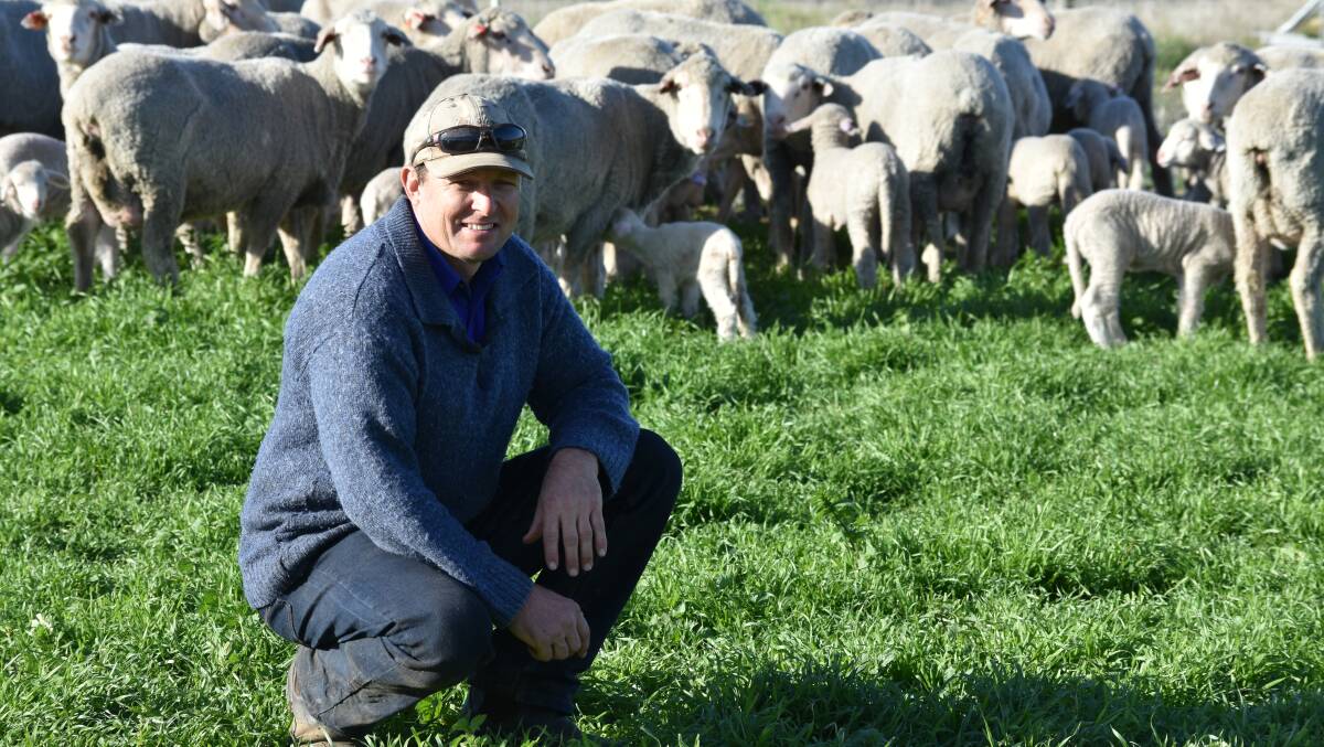 Stephen Kellock, Kelvale Poll Merinos in South Australia, uses the sire evaluation system to generate linkages and benchmark information on his Soft Rolling Skin sires.