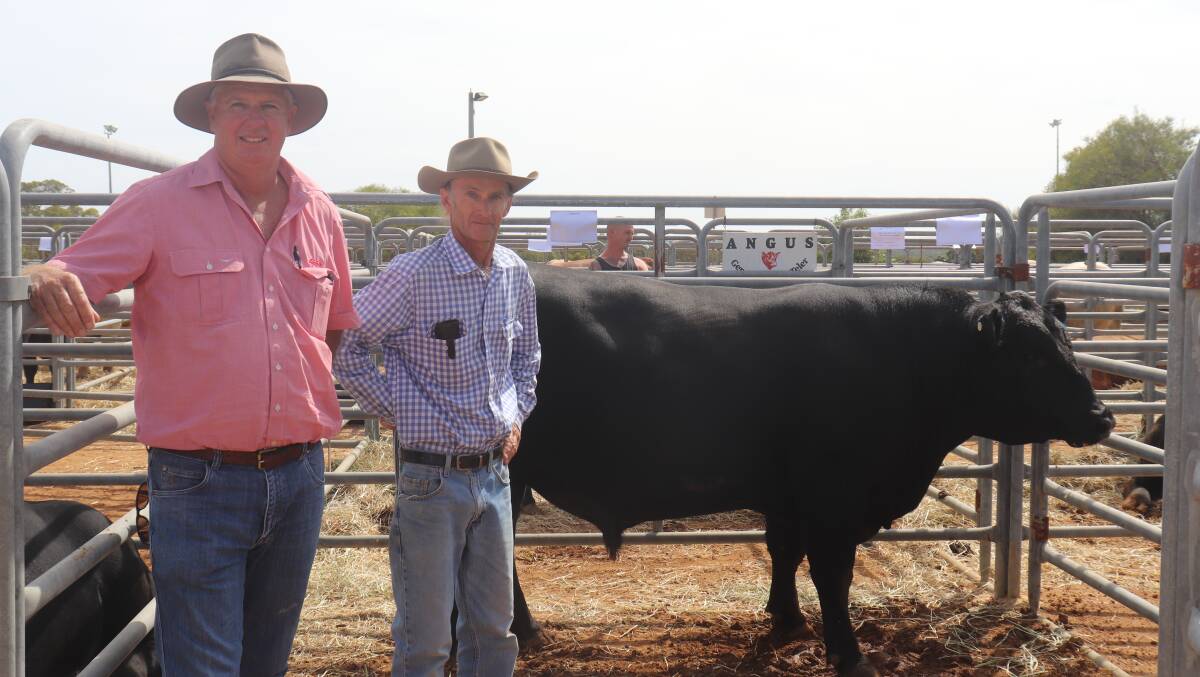 With Cookalabi P23 (by Koojan Hills Docklands K90) that sold for $7000 at the sale were buyer Michael Longford, Elders Waroona and Cookalabi stud co-principal David Topham, Coomberdale. The bull was purchased on behalf of Bangadang Pty Ltd.