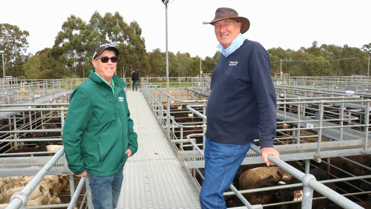 Nutrien Livestock WA commercial cattle manager Damien Hall (left), on the rail with one of the sales volume buyers of beef cattle Gordon Atwell, Weldon Beef, Williams.