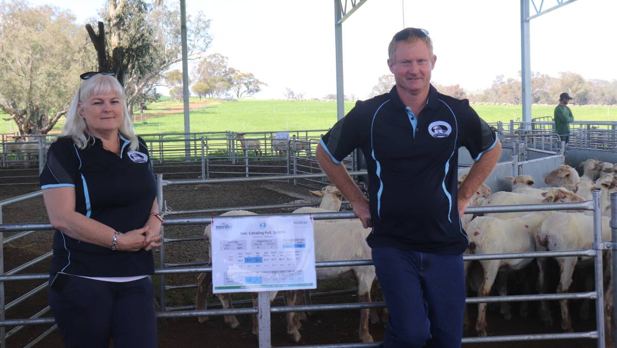 Calcaling stud principals Sandie and Athol Ventris with their sheep at the Muresk Sire Evaluation day.