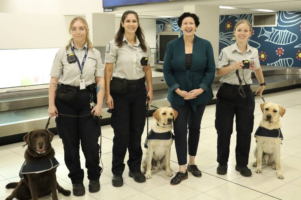 Christmas is the busiest time for travel and parcel deliveries and detector dogs are on duty to sniff out potential risk items at the Perth Domestic Airport and freight yards and mail centres across the metropolitan area. WA Agriculture Minister Jackie Jarvis (second from right) with some of the detector dogs and quarantine staff.