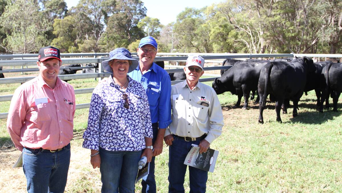 Pearce Watling (left), Elders, Donnybrook, with interstate visitors to the Monterey sale Noeleen and Stephen Branson, Banquet Angus stud, Mortlake, Victoria and Chris Knox (right), DSK Angus and Charolais stud, Borah station, Coonabarabran, New South Wales. Mr Watling purchased a Texas Handyman Q464 son for regular buyers Gingin Pastoral Company and represented the Branson family in their purchase of a Monterey Patriarch P102 son.