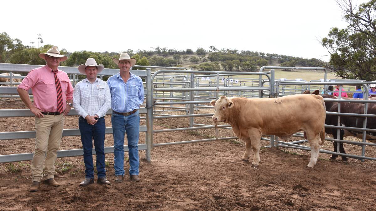  The second top price in the Charolais offering at last week's Liberty Charolais and Shorthorn on-property yearling bull sale was $8500 paid by Jig Grazing, Waroona, for this bull Liberty River Hawk R99 (P) (RF). With the bull were Elders, Midland agent Geoff Shipp (left), Cameron Petricevich, S & C Livetsock, who purchased the bull for the Waroona operation and Liberty co-principal Kevin Yost.