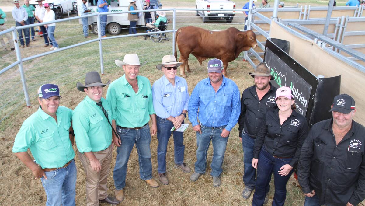 Prices reached a new stud record high of $42,000 at the second annual Fieldhouse Droughtmaster on-property bull sale at Jurien Bay last week. With the late July 2021-born top-priced bull Fieldhouse BC7#127 (PP) (by Glenlands J Voltage) were Nutrien Livestock, Mid West and pastoral agent Richard Keach (left), auctioneer Dane Pearce, Nutrien Ag Solutions stud stock, Rockhampton, Queensland, Nutrien Livestock, Pilbara and Gascoyne agent Shane Flemming, buyers Tim DArcy and Scott Keilor, Lyndon station, Minilya and Regans Ford/Cataby and Fieldhouse stud co-principals Ben, Kerryn and Ken Mutton, Wickepin/Jurien Bay.