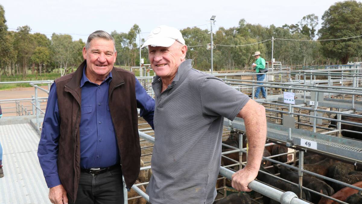Dave Hollins (left), Ferguson and Phil Pomeroy, Boyanup, were among the interested spectators at the Nutrien Livestock sale.