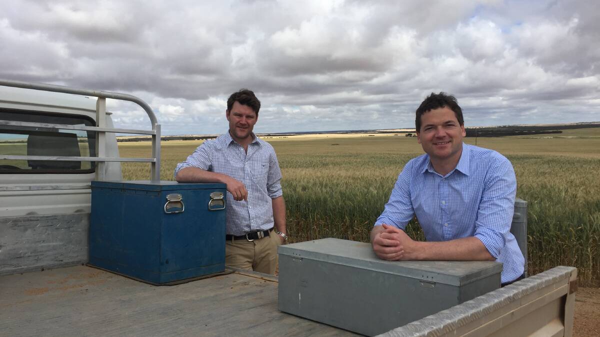 Nathan Cattle (right) and Peter Brennan, from Clear Grain Exchange, say many growers are using the exchange's secure settlement and forward market to defer grain payments.
