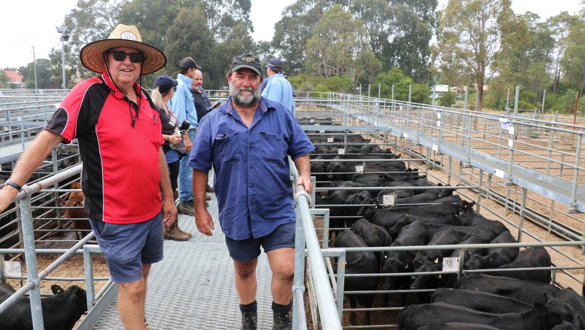Terry Tarbotton (left), Elders Nannup/Busselton with client Lyndon Crouch, Nannup, before the Elders sale where Lyndon bought heifers for future breeders paying to $3000.