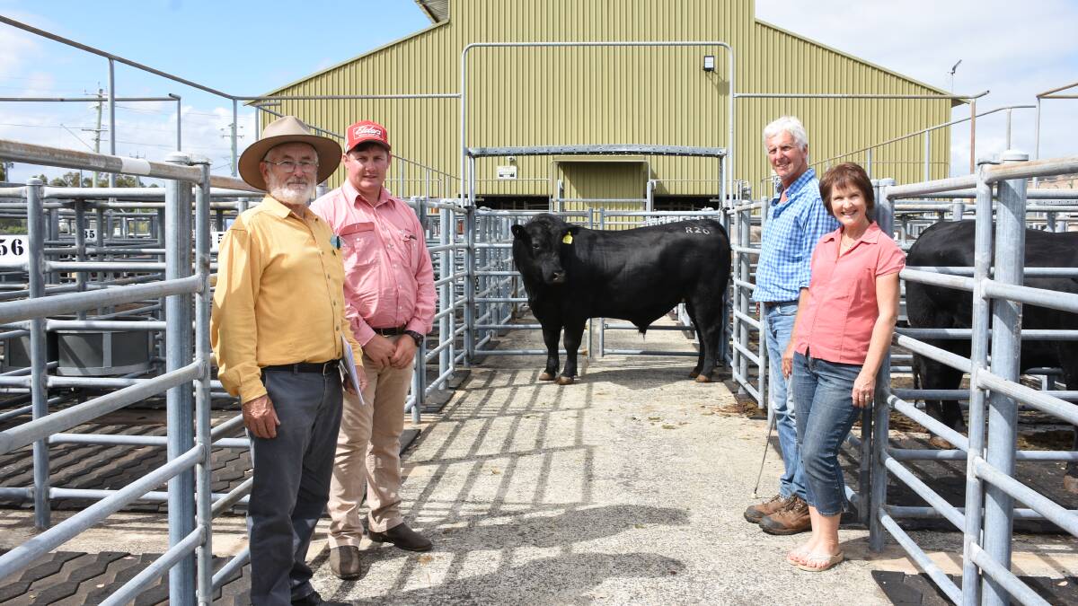  The top price in the Angus run was $8500 paid for this Prime Katapault K1 son from the Charley Creek stud, Donnybrook. With the bull were buyer Gilbert Rowan-Robinson (left), Bridgetown, Elders, Donnybrook representative Pearce Watling and Charley Creek principals Don and Rhoda Blenkinsop.