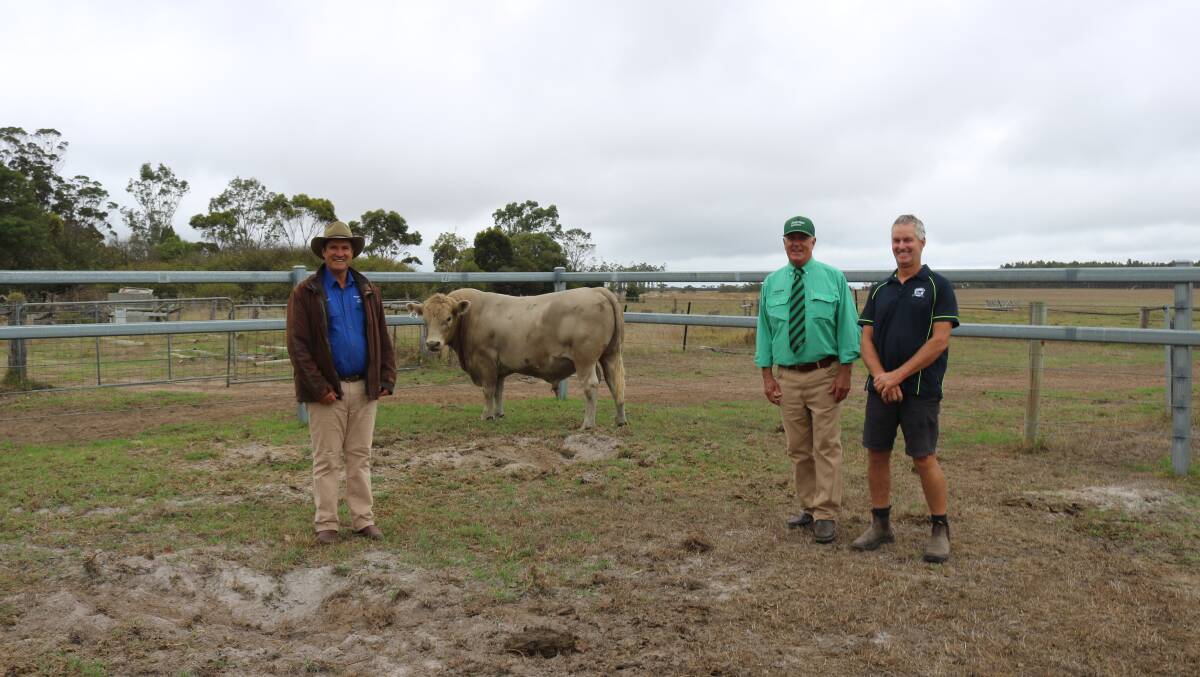 With one of the equal $7500 top-priced Melaleuca Murray Grey sires sold under the hammer on Monday were Koojan Hills and Melaleuca stud co-principal Richard Metcalfe (left), Manypeaks, Landmark southern livestock manager Bob Pumphrey and buyer Ray Mountford, Yandilla Grazing Co, Manypeaks. The other Murray Grey bull to sell for $7500 was purchased by David Parnell & Co, Willyung.