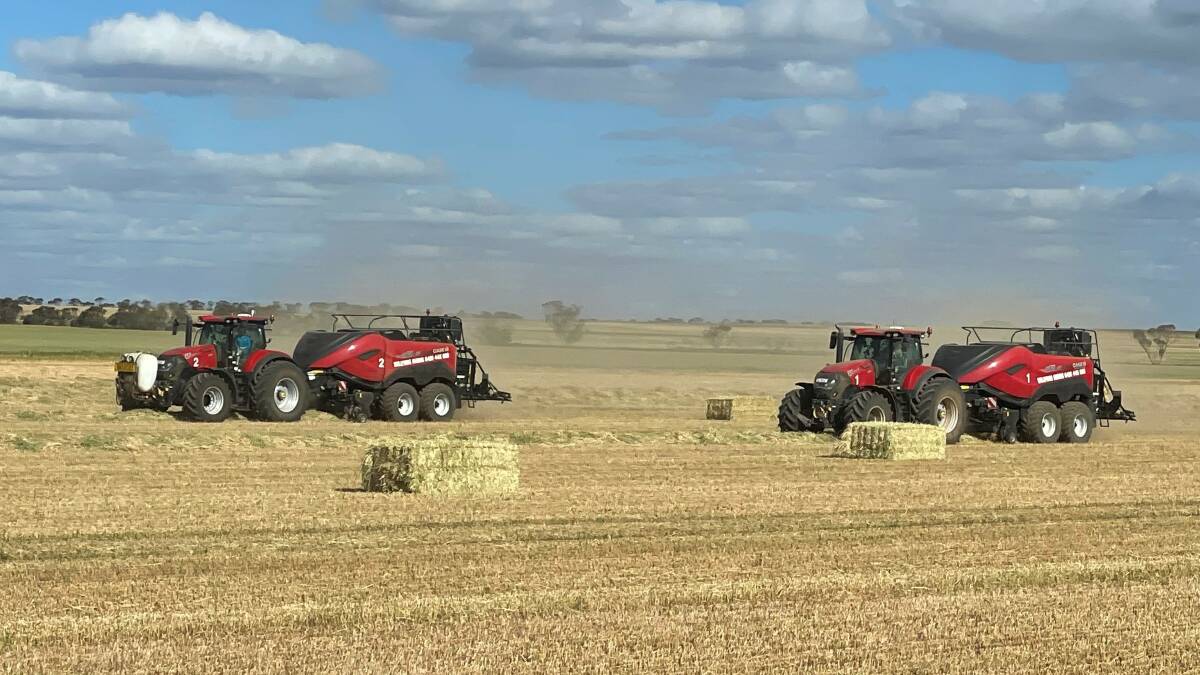 The Lyon family has been using Case IH balers for 25 years on its mixed farming business near Albany.