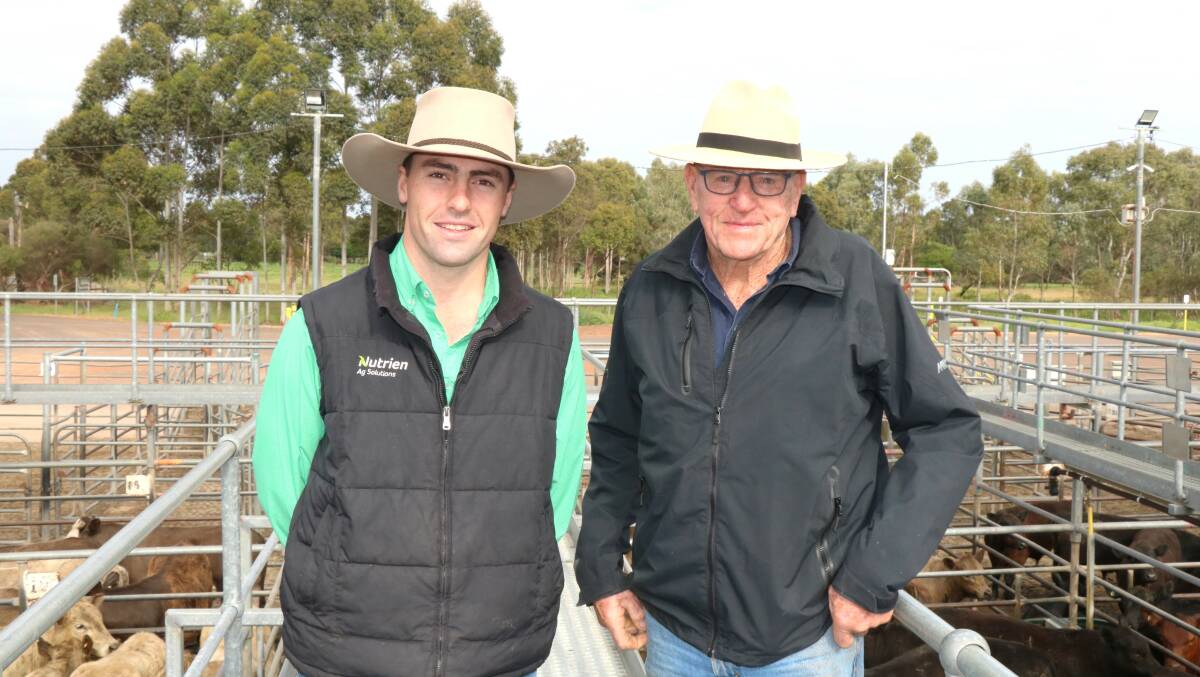 Sale co-auctioneer Austin Gerhardy (left), Nutrien Livestock, Manjimup, discussing cattle with Norm Dennis, Anniebrook.