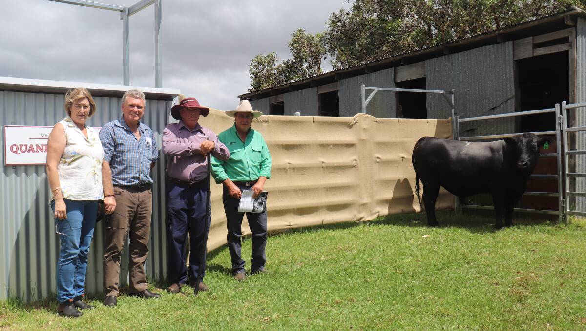 With the $12,500 top-priced bull at Monday's Quanden Springs Angus on-property bull sale at Redmond were buyers Sandra (left) and Neville Tutt, Moringa Nominees, Albany, Quanden Springs co-stud principal Noel Stoney and Nutrien Livestock, Albany agent Terry Zambonetti.