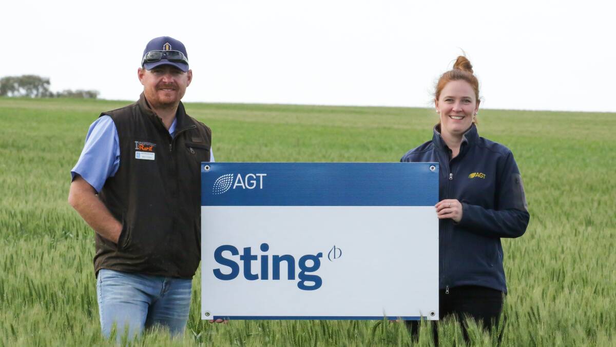 Northampton grower Ben Cripps and Australian Grain Technologies' Alana Hartley at the launch of the new Sting and Hammer CL Plus wheat varieties.