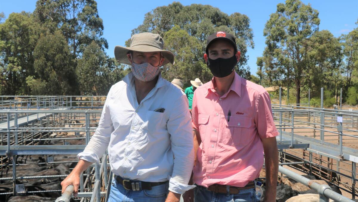  On the rails before the sale were buyer Graham Brown (left) and Elders South West livestock manager Michael Carroll. Mr Brown was an active buyer for both Princess Royal Trading, Burra, South Australia and other Eastern States accounts.