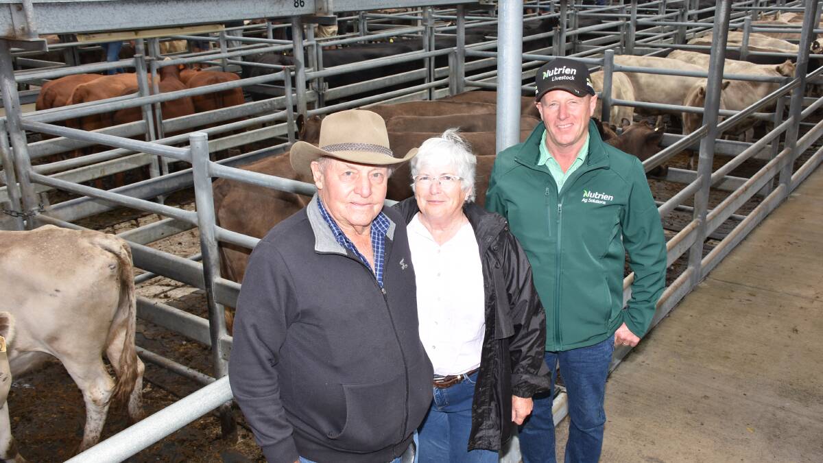 Len (left) and Kerri Hill, AL Hill, Ravensthorpe, who were dispersing their herd in the sale looked over their offering of PTIC Murray Grey cows with Nutrien Livestock, Albany representative Dan Cale. In the sale the Hills offered and sold 142 Murray Grey cows based on Monterey bloodline and in calf to Monterey bulls, that ranged in age from three years old to mature, for between $600 and $1300 for an average of $978.