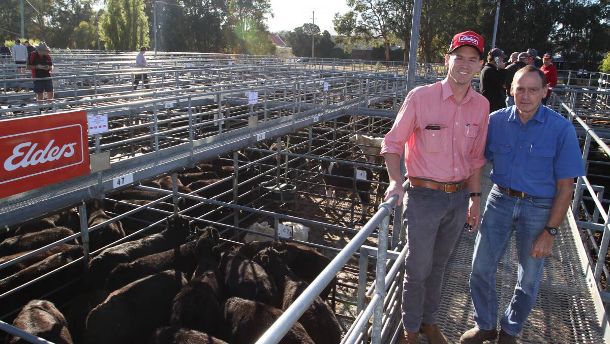 Adrian Carroll (left), Elders Real Estate with his father Alf Carroll, Tirano Farms, Nannup, who topped the beef heifer market at $1205 and 286c/kg with Black Simmental cross heifers.
