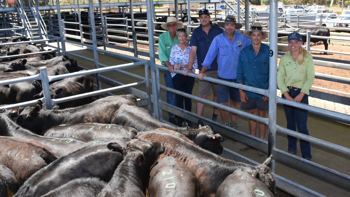 The Carroll family, Rayview Park, Albany, was the second largest vendor, selling 303 steers across 16 lots for between $1560 and $1830. With a pen of their heavier steers were Harry (left), Julie, Hayden and Jarrod Carroll, along with their employees Robert Smith and Zoe Skinner.