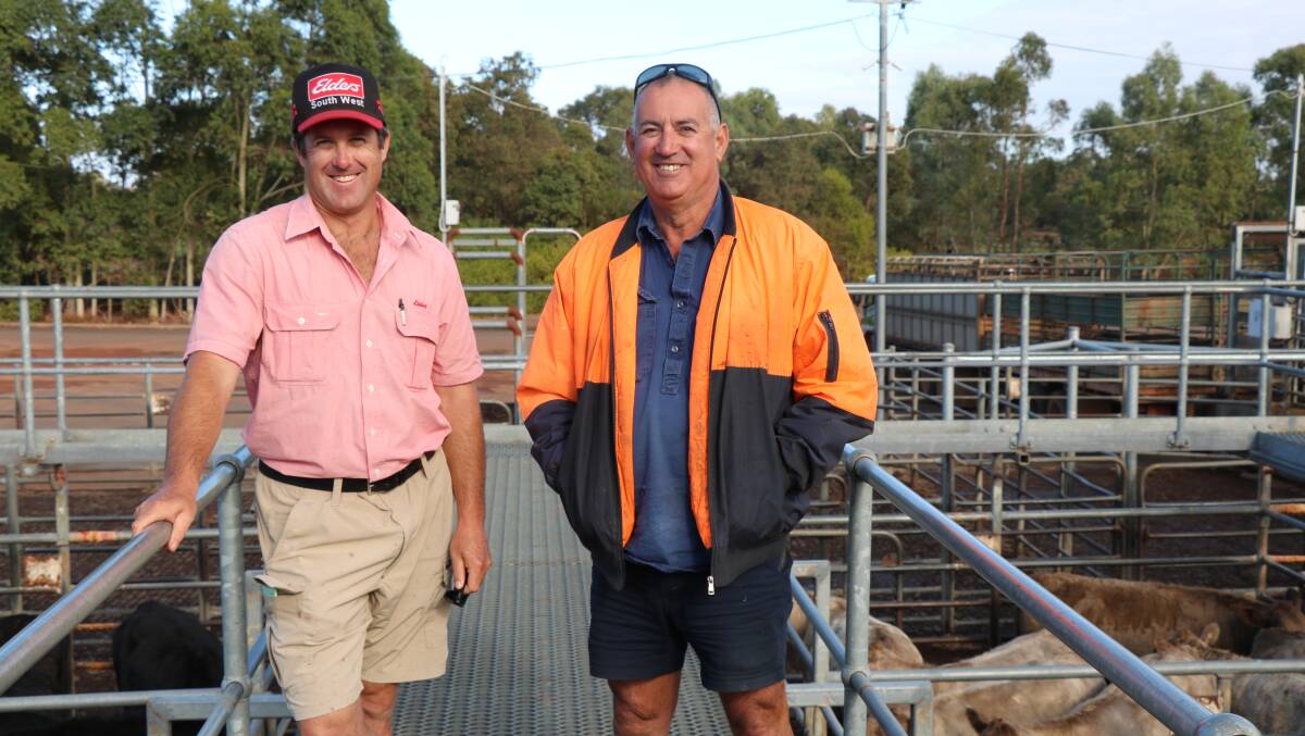 Elders, Brunswick/Harvey agent Craig Martin (left), was with client Joe Castro, Myalup, at the Boyanup store cattle sale last Friday. In the sale Mr Martin bought a number of pens for clients.
