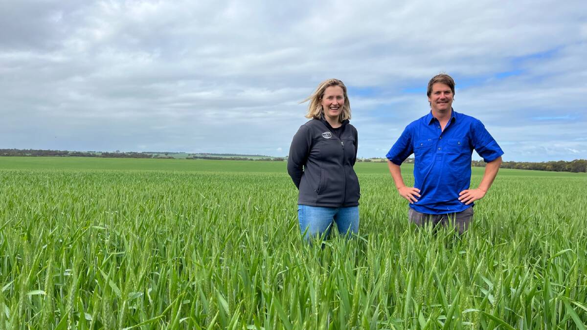 InterGrain northern WA Territory Manager Rachel Asquith and Reuben Woods, Calingiri, with his crop of Brumby last year.