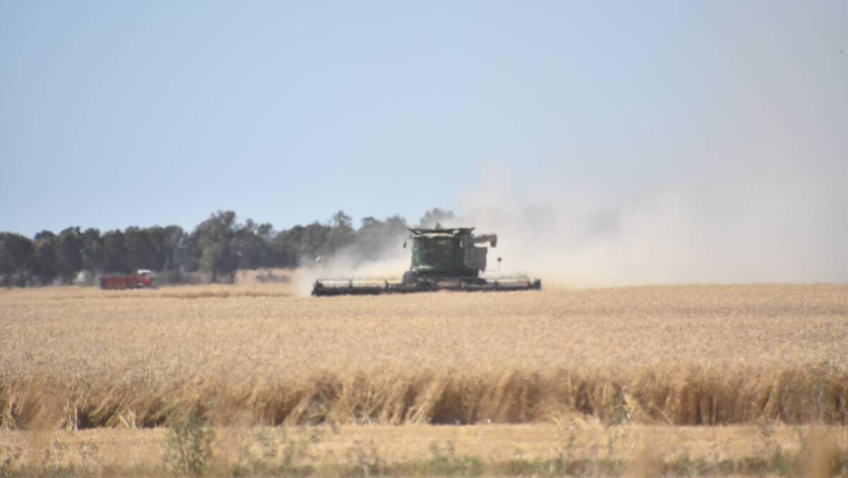 Despite the big wet and downgrades to crops Australian grain growers have still raised over $40,000 for their Ukrainian counterparts. Photo by Gregor Heard.