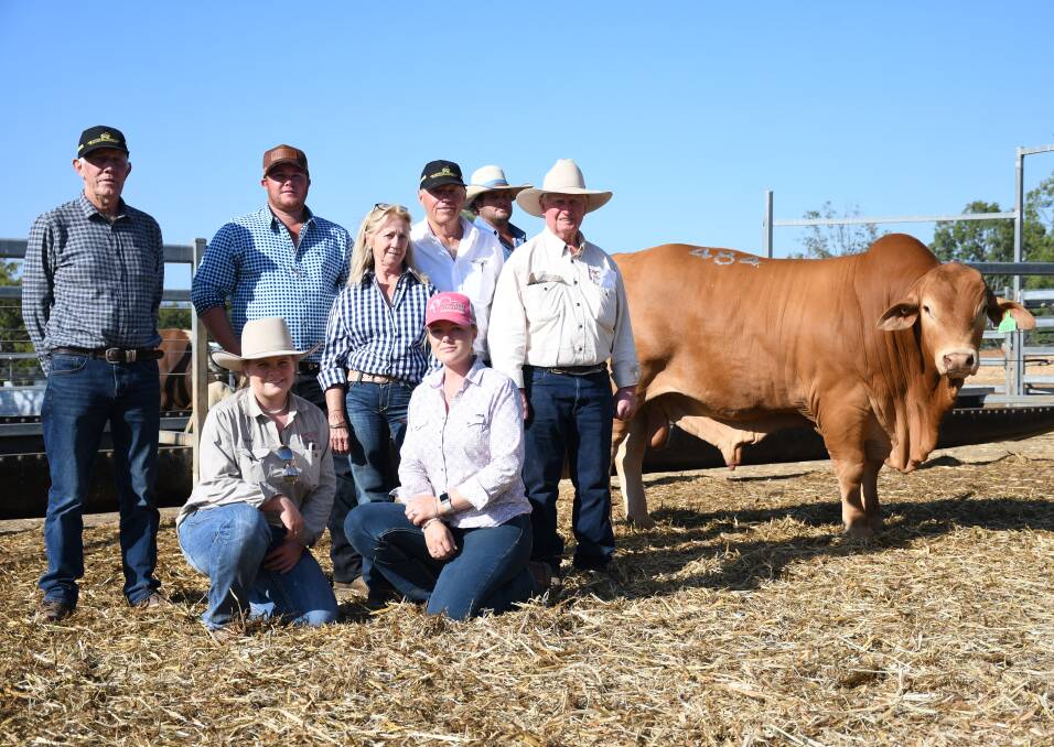 The $180,000 second top price bull of the 2022 sale Rondel Black Tuxedo with Kim Goad, Ben and Olivia Wright, Sue and Mike Thompson, John Atkinson, Tayla Chapman, and Peter and Luke Carrington. Picture by Clare Adcock 