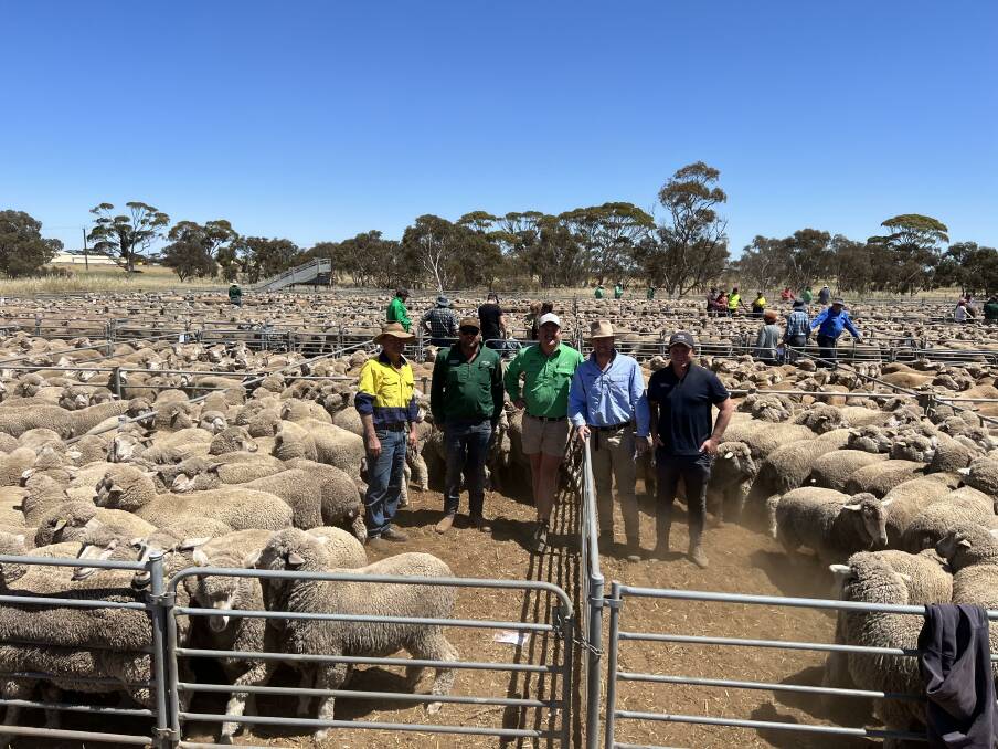 In the Merredin leg of the sale prices hit a high of $213 for a line of 331 March shorn, Manunda blood, 1.5yo ewes from GA & AP Morgan, Doodlakine, when sold to Victorian agents McKean McGregor Pty Ltd, Bendigo. With the line were vendor Gavin Morgan (left), Livestock & Lands pair of Aaron Caldwell, Nutrien Livestock, Merredin and Jake Finlayson, Nutrien Livestock, Cunderdin and buyers Zeb Broadbent and Alex Pollock, McKean McGregor Pty Ltd. Mr Broadbent and Mr Pollock werent only the top-priced buyers in the sale, they were also the volume buyers.