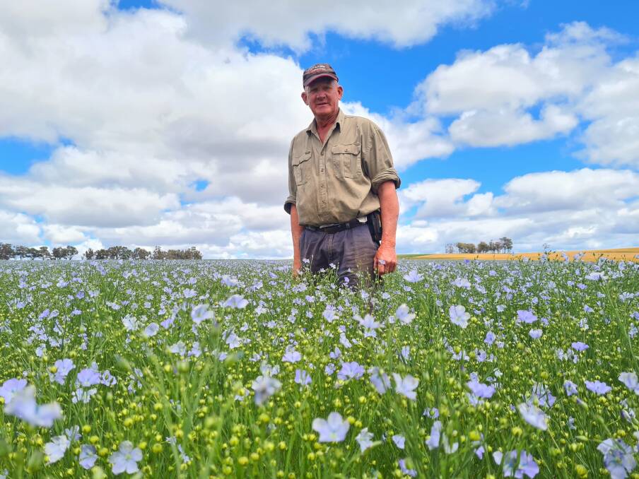 Cordering farmer Ray Harrington started trialling flax as an extra rotation in the cropping program in 2018.