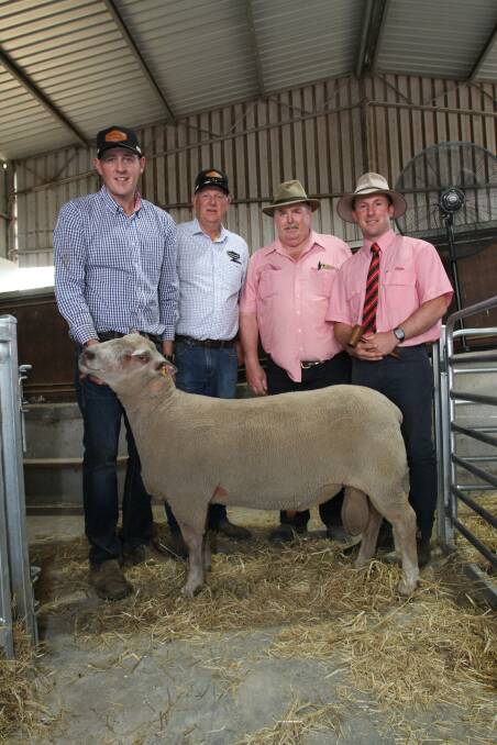 Venturon Charollais stud principals Harris (left) and Andrew Thompson, Boyup Brook, Elders Boyup Brook agent Peter Forrest and Elders stud stock auctioneer James Culleton with the $2800 top-priced Charollais ram which was purchased on AuctionsPlus by a Hill River (WA) buyer.