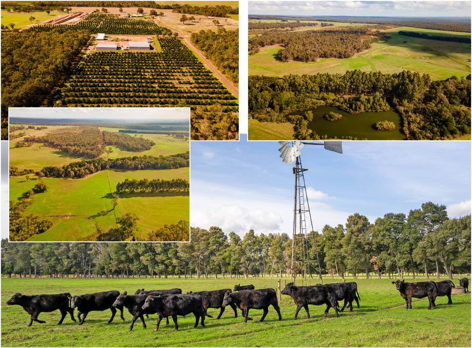 Rare opportunity to own a 275-hectare farm at Chapman Hill | Farm ...