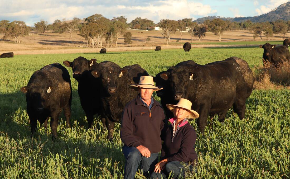 Inglebrae Farms managers Darren and Kelly Battistuzzi. The Tenterfield stud has its 40-bull sale on July 19. Picture supplied