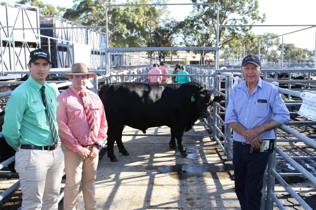 With the $12,000 top-priced Angus bull Monterey Stowaway S125 (by Millah Murrah Reality K61 son, Monterey Power Play P167) at the Monterey Angus and Murray Grey Winter Bull Sale at Brunswick last week were Nutrien Livestock representative Jordan Dwyer (left), Elders auctioneer and Donnybrook representative Pearce Watling and Monterey stud principal Gary Buller, Karridale. The bull was purchased on AuctionsPlus by a Aldavilla, New South Wales, buyer.