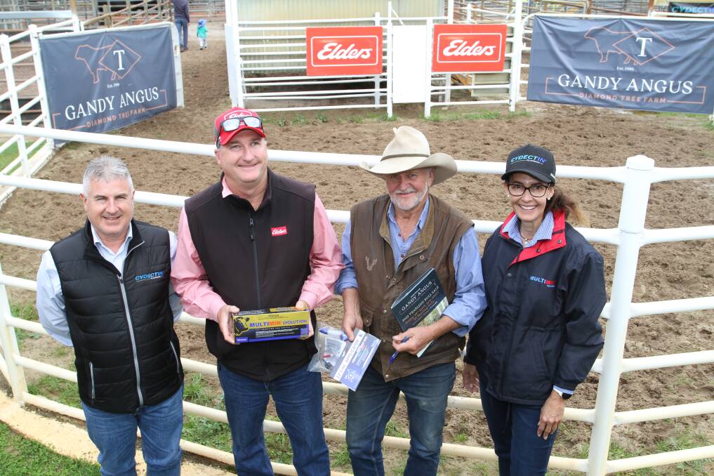  Volume buyer sponsors Tony Murdoch (left) and Kylie Meloury, Virbac Australia Animal Health, with Wade Krawczyk, Elders Waroona and Richard Gardiner, Alcoa Farmlands, Wagerup/Pinjarra. Alcoa Farmlands was the sales volume buyer with four bulls costing from $7000 to $12,000.