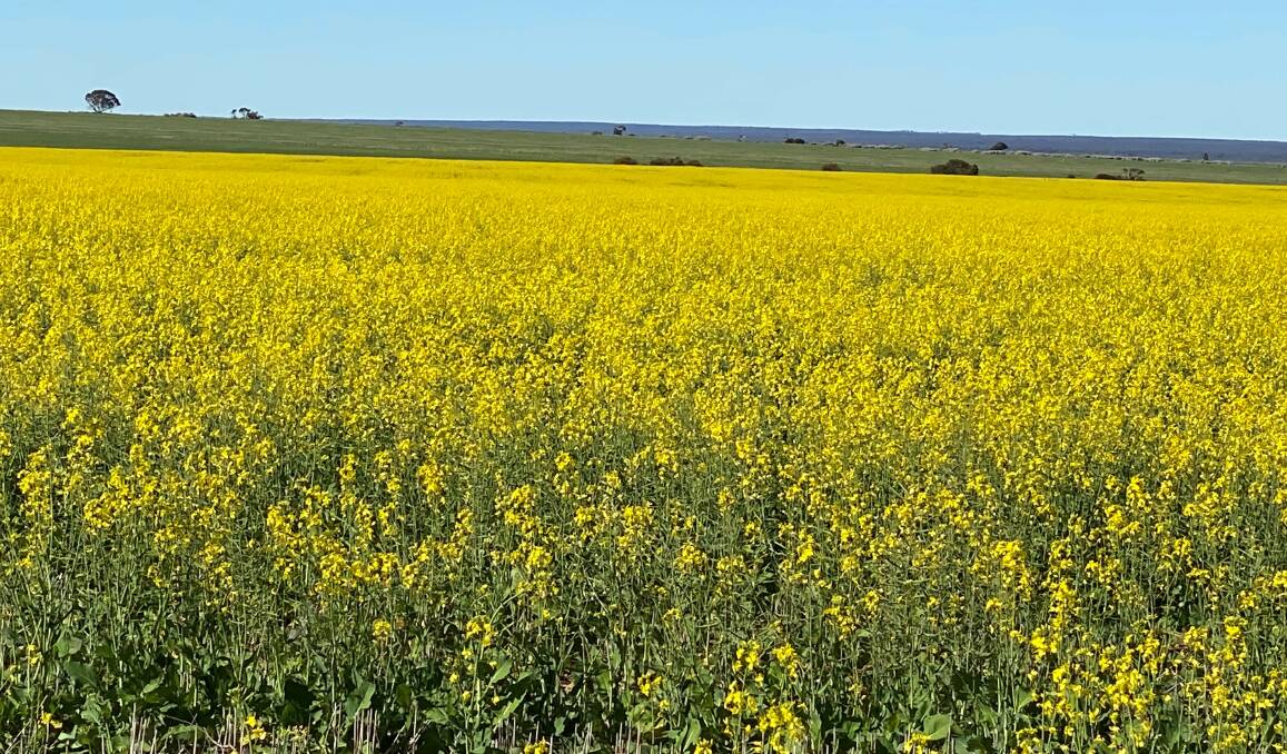 Southern Agri Fiduciary bought up 39,722 hectares across the north-eastern Wheatbelt of WA and has reaped more than $30 million selling this farmland in the past 12 months.