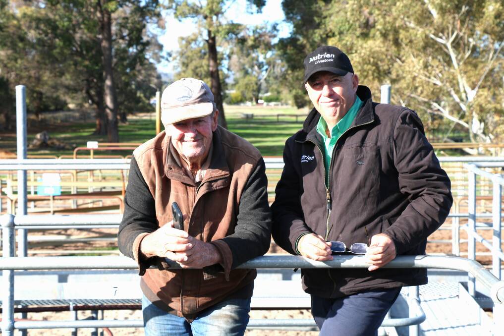 Kim Tuckey (left), Pinjarra, caught up with Nutrien Livestock South West manager Mark McKay before the sale. Mr Tuckey bought pens of heavy beef heifers to fill his ongoing order.