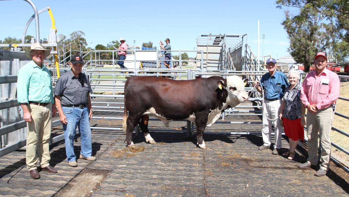 The Francis familys Yallaroo Hereford stud achieved the $22,000 top-price at the WA Supreme Bull Sale at Brunswick last week. With the top-priced bull Yallaroo Tarzan T7 (AI) (H) (by Battalion Black Hawk K7) which was purchased by long-time buyer ED Wedge, Gingin, were Nutrien Livestock, Waroona agent Richard Pollock (left), Phil Musitano, Brunswick, who represented the buyer, Yallaroo stud principals Rob and Heather Francis, Busselton and Jacques Martinson, Elders, Busselton.

