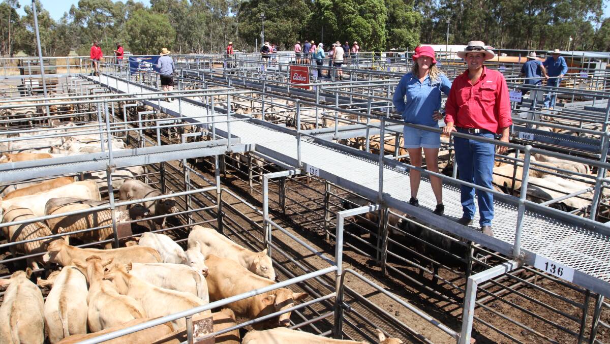Vendor Melissa Bleechmore, ML Bleechmore, Boyup Brook and Alex Tunstill, Elders, Capel, with Ms Bleechmores Charolais cross steers which sold to 248c/kg at the Boyanup weaner sale last week.
