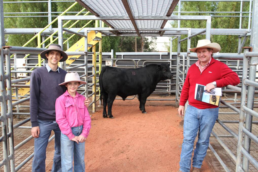 Gandy Angus stud connections Steven (left) and Roamy Gandy, Manjimup and David Lindberg, Elders Albany, with the $17,000 equal top-priced bull Gandy Checkmate T73 (by SAV Checkmate 8158) purchased by Mr Lindberg on behalf of Briandi Pastoral Company, Albany.