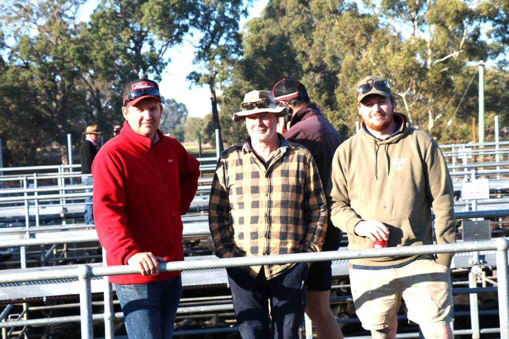 Elders Boyanup representative Alex Roberts (left), showed clients Kim and Zeke Brown, Crooked Brook, over the line-up of cattle in the sale.