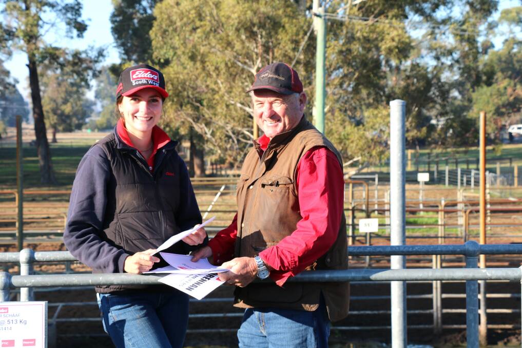 Elders staff members Kira Chatley and Peter Foster were busy putting up the pen cards before the Boyanup sale.