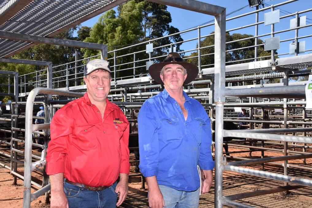 Discussing the catalogue of bulls before the sale got underway was Mordallup co-principal Mark Muir (left) and Tony Mostert, Scott River Trading, Karridale. In the sale Mr Mostert purchased two bulls at $16,000 and $8000.