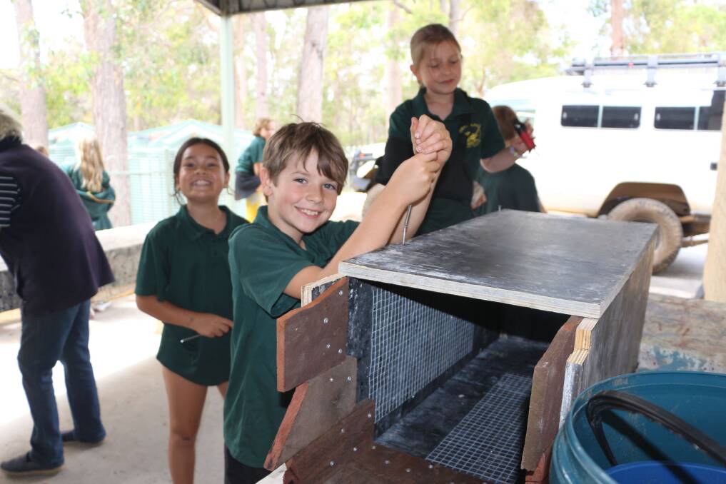 Author, educator and environmentalist Simon Cherriman hung a nest box at each participating school campus as part of the cockatoo conservation project. This included Denmark Primary School.
