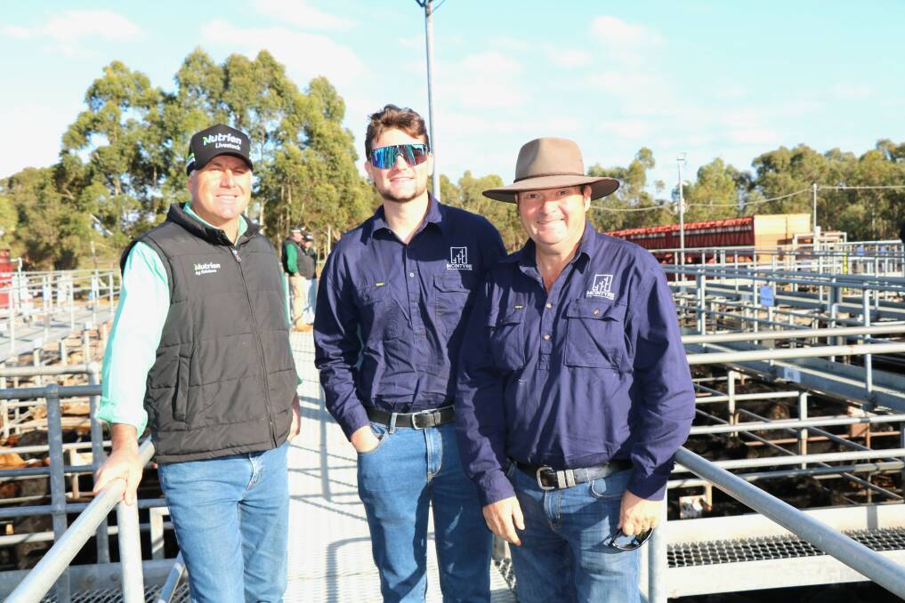 Nutrien Livestock, Waroona agent Richard Pollock (left), with clients, Ben and Rohan McIntyre, McIntyre Ag, Waroona, before the sale. The McIntyres sold several pens of cattle, with the first pen costing Mr Pollock, who was one of the volume buyers, $1210.