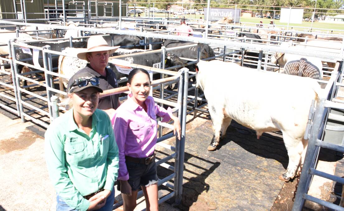 The Arley Farm Speckle Park stud, Benger, made its debut in the sale with a team of three bulls which all sold at $5000. With the studs lead bull were Nutrien Livestock, Harvey/Brunswick representative Lyndsay Flemming (left), Arley Farm manager Tim Elliot and buyer Erica Ward, Kaloom Pastoral, Gidgegannup. Kaloom Pastoral purchased two Arley Farm bulls.
