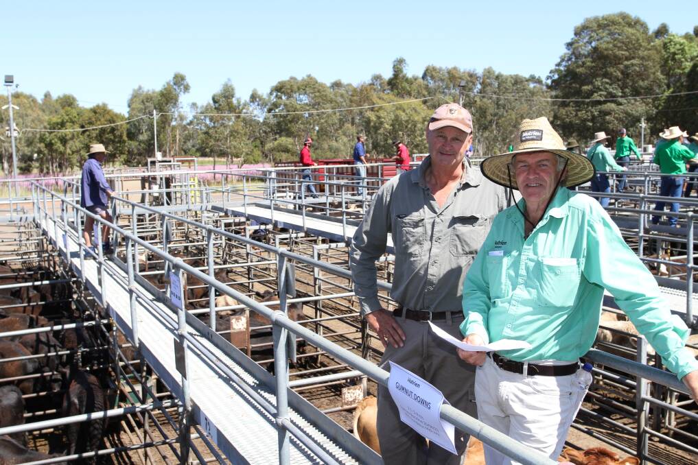 Vendor Peter Stickney (left), Stickney & Sons, Yarloop and Nutrien Livestock, Brunswick/Harvey agent Errol Gardiner at the combined agents weaner sale at Boyanup last Wednesday where Mr Stickney sold 84 Angus steers to Nutrien Livestocks equal top liveweight price of 296c/kg.
