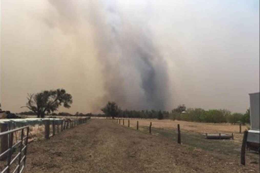 The view looking north west on Dale Hank's farm as the bushfire approached on Saturday. The picture was taken by Nick Henderson who helped prepare the farm for the worst.
