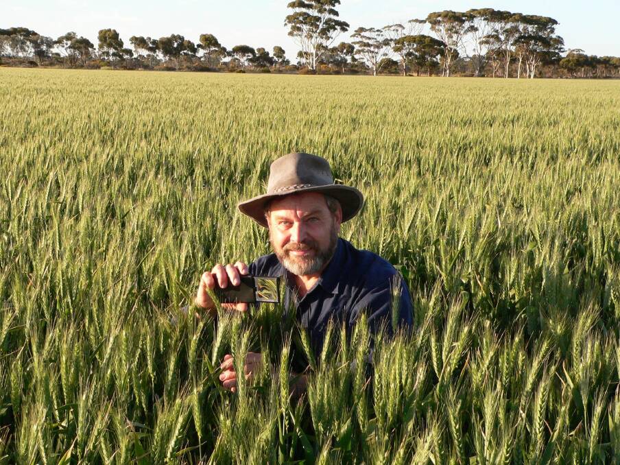 DPIRD grains biosecurity officer Jeff Russell has urged growers to monitor crops for aphids and to report any sightings using the MyPestGuide Reporter app.