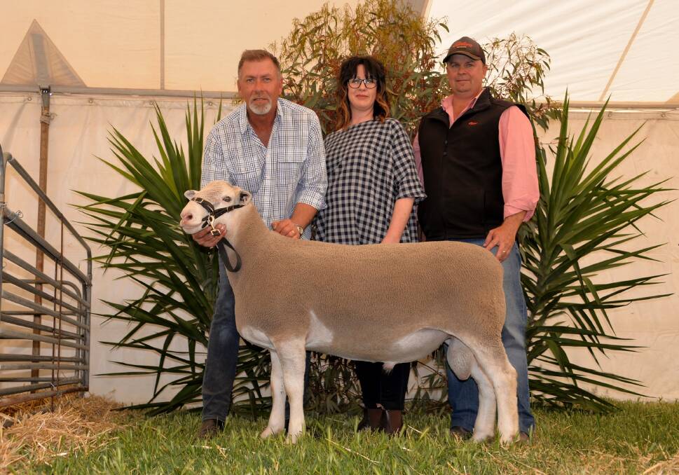  Pictured with the $26,000 sale topping ram are Detpa Grove principals David and Michelle Pipkorn, Jeparit, Victoria and Elders Mildura's Kelvin Fitzgerald who purchased the ram for his client Roger Wilkinson, Camborn station, Wentworth, New South Wales. The Kohat stud, Ongerup, purchased a semen share in the ram.